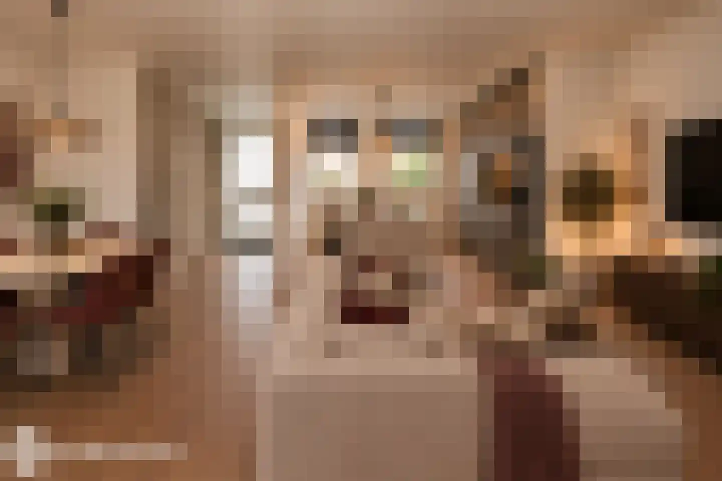 Narva 4 Leerdam thumbnail 5