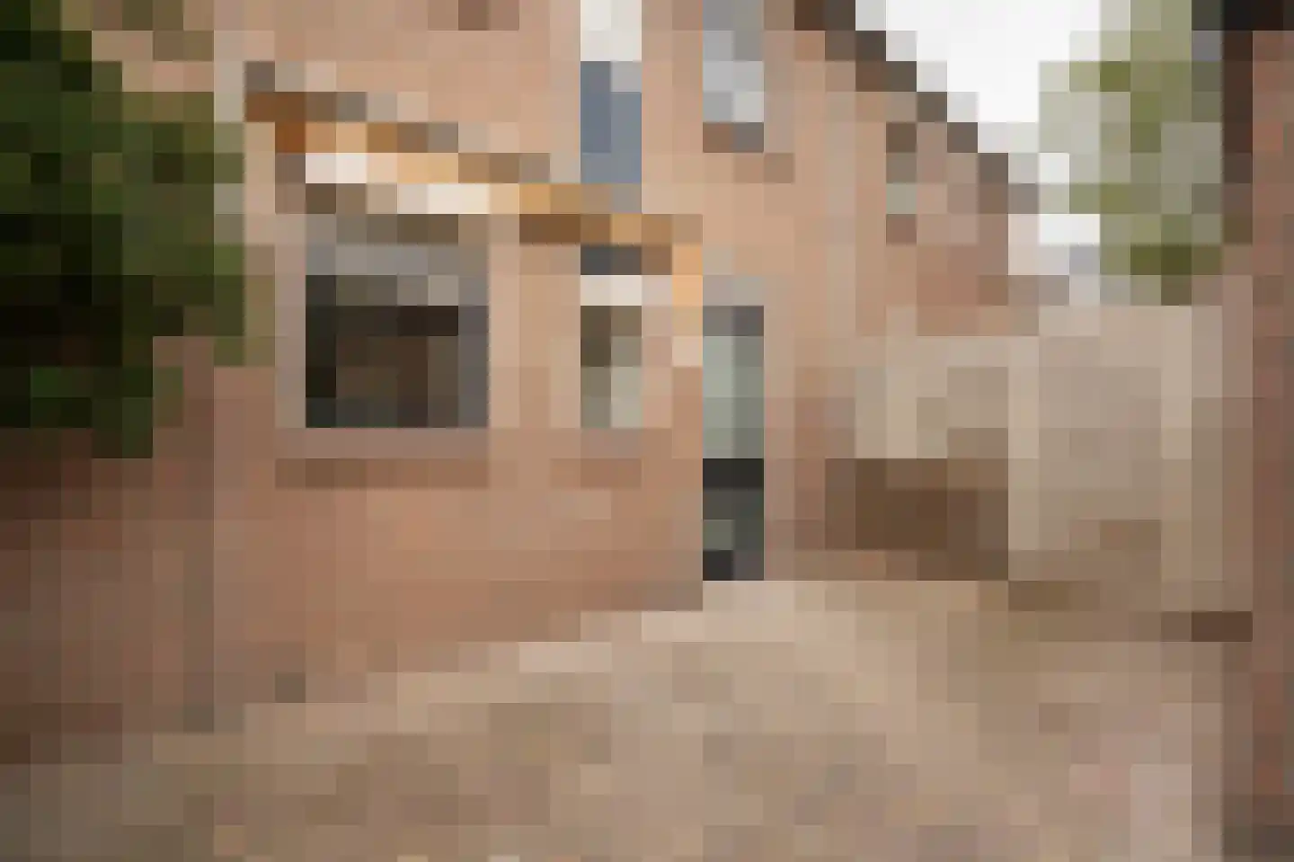 Narva 4 Leerdam thumbnail 7