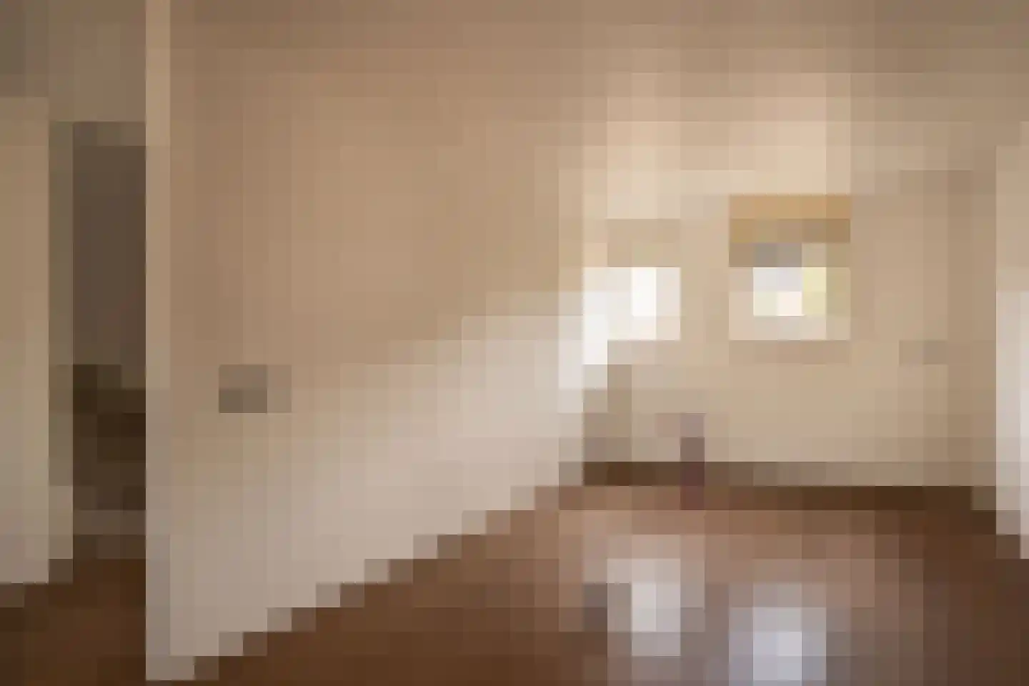 Narva 4 Leerdam thumbnail 9