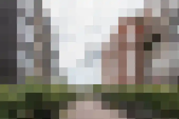 Narva-eiland 11 Amsterdam thumbnail 26