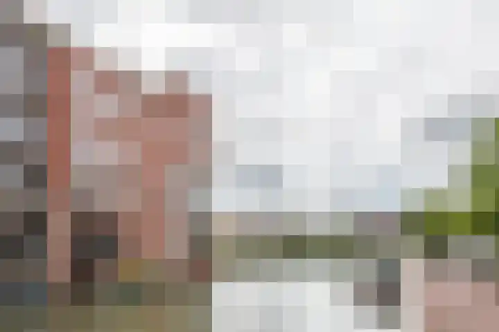 Narva-eiland 11 Amsterdam thumbnail 28