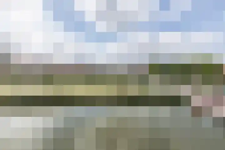 Narva-eiland 11 Amsterdam thumbnail 29