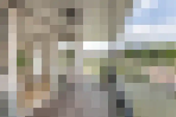 Narva-eiland 11 Amsterdam thumbnail 7