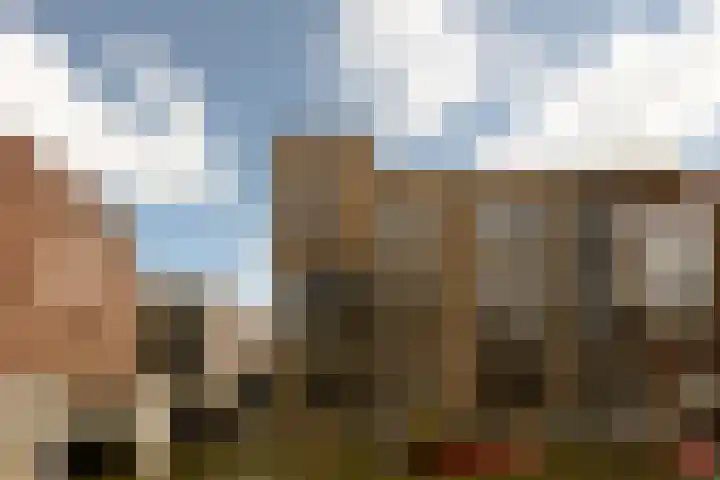 Narva-eiland 127 Amsterdam thumbnail 43