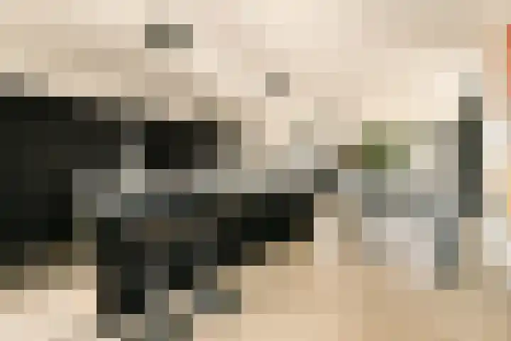 Narva-eiland 129 Amsterdam thumbnail 13