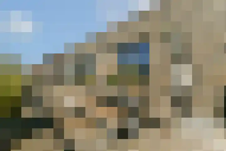 Narva-eiland 129 Amsterdam thumbnail 27