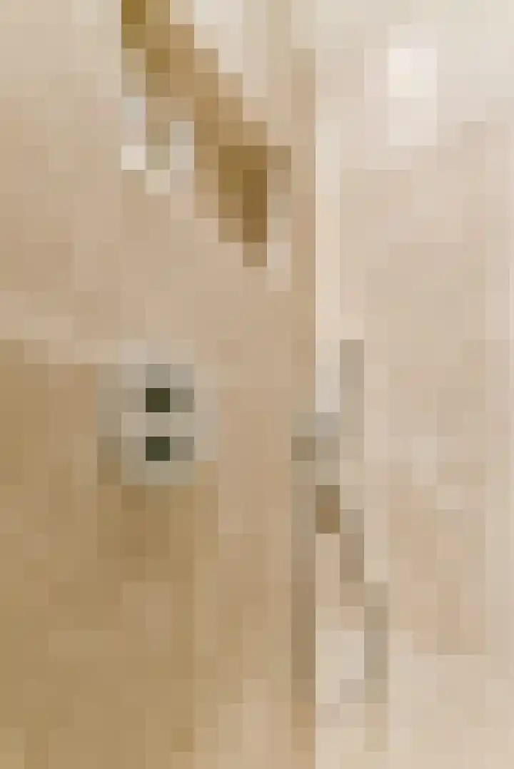 Narva-eiland 129 Amsterdam thumbnail 50