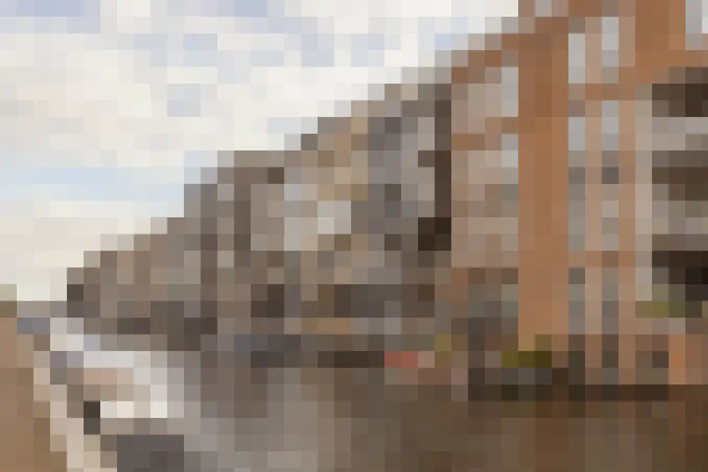 Narva-eiland 149 Amsterdam thumbnail 43