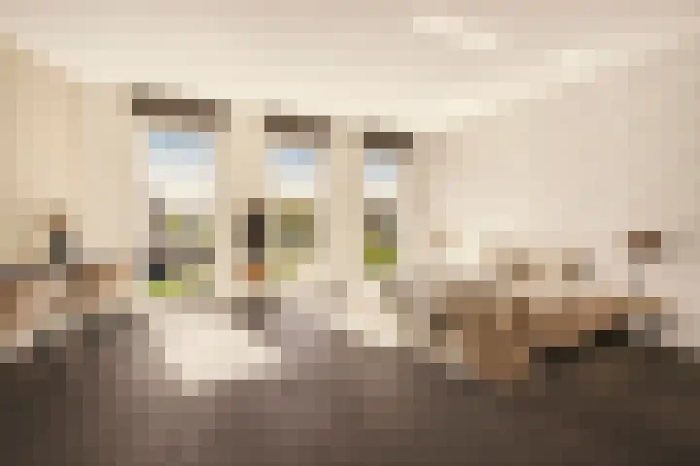 Narva-eiland 22 Amsterdam thumbnail 26