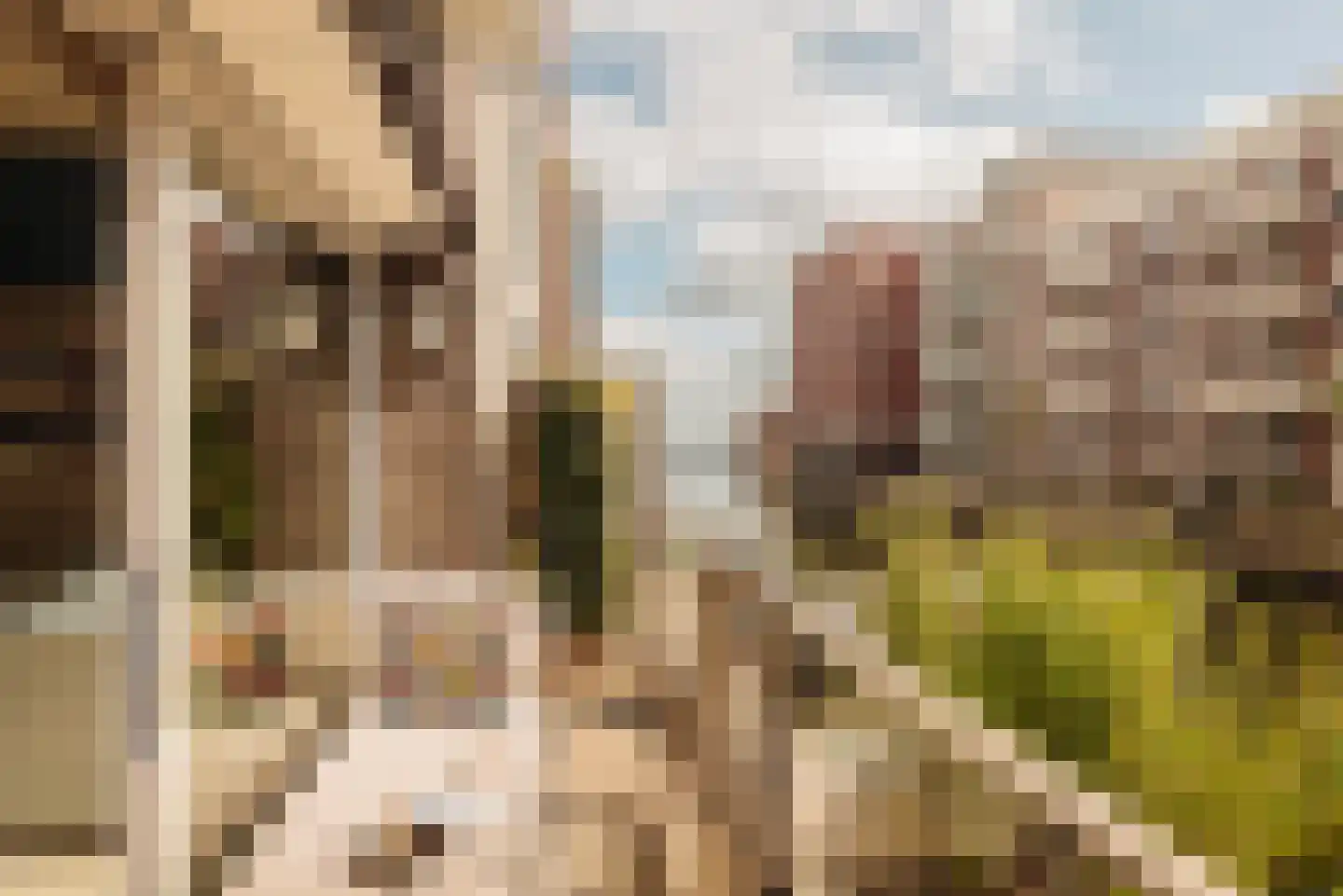 Narva-eiland 228 Amsterdam thumbnail 15