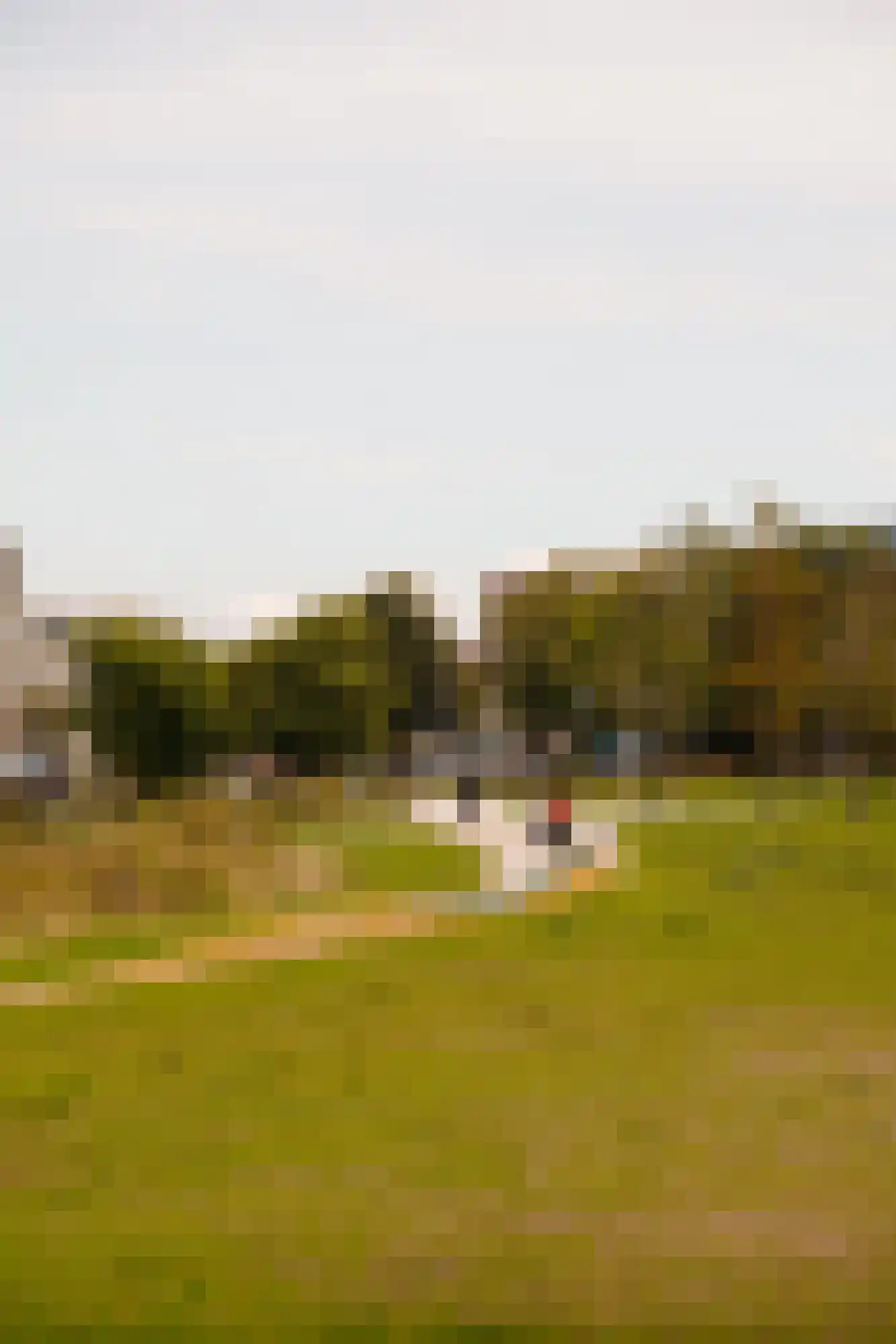 Narva-eiland 244 Amsterdam thumbnail 49