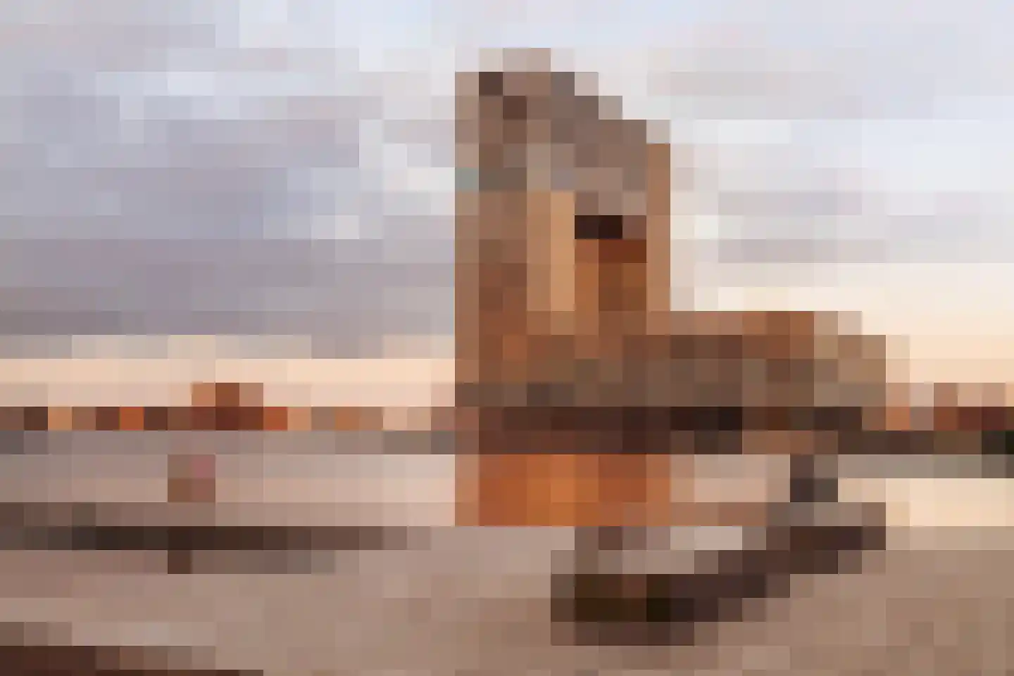 Narva-eiland 7 Amsterdam thumbnail 32