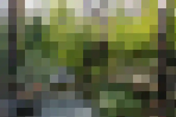 Narva-eiland 70 Amsterdam thumbnail 31