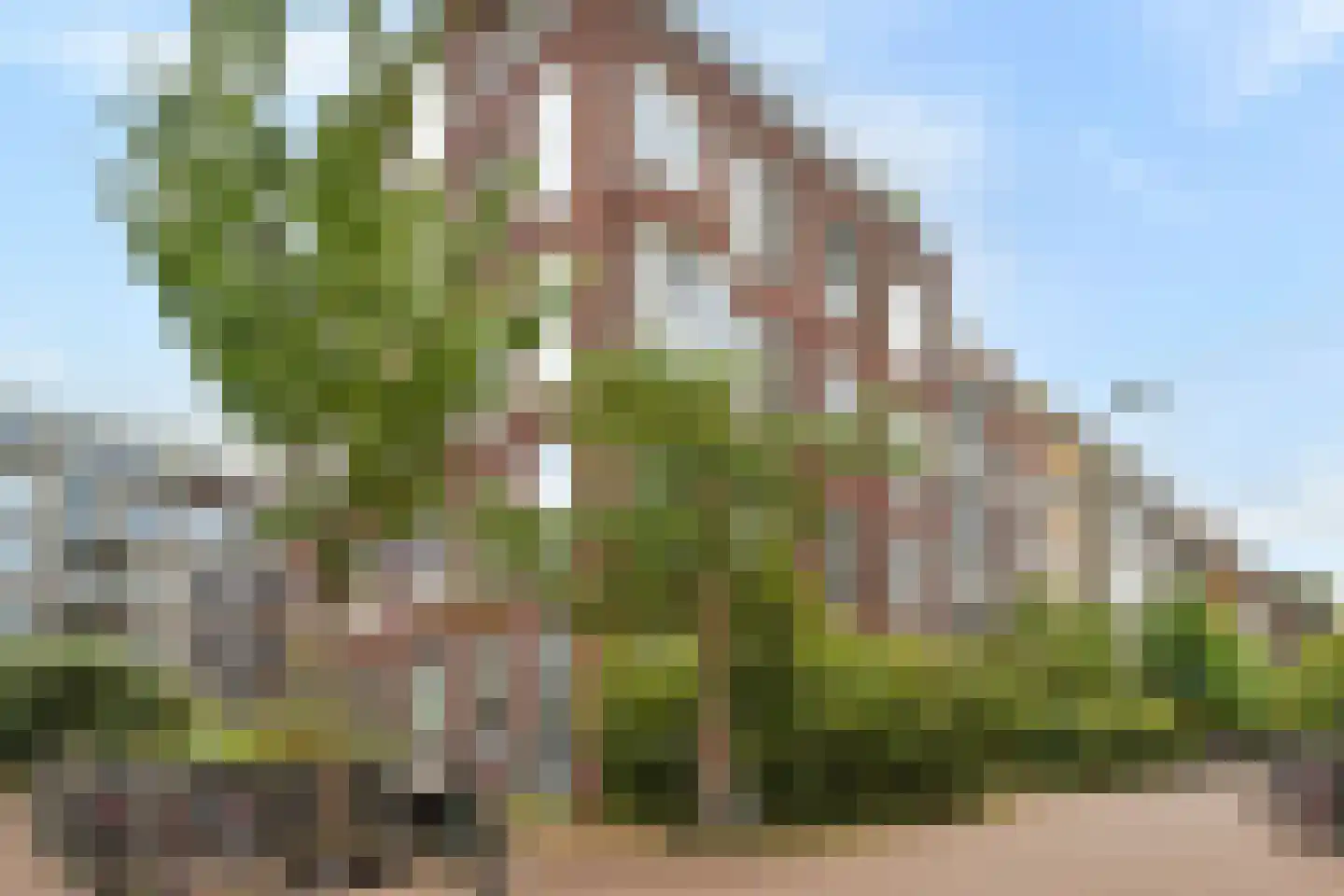 Narva-eiland 76 Amsterdam thumbnail 22