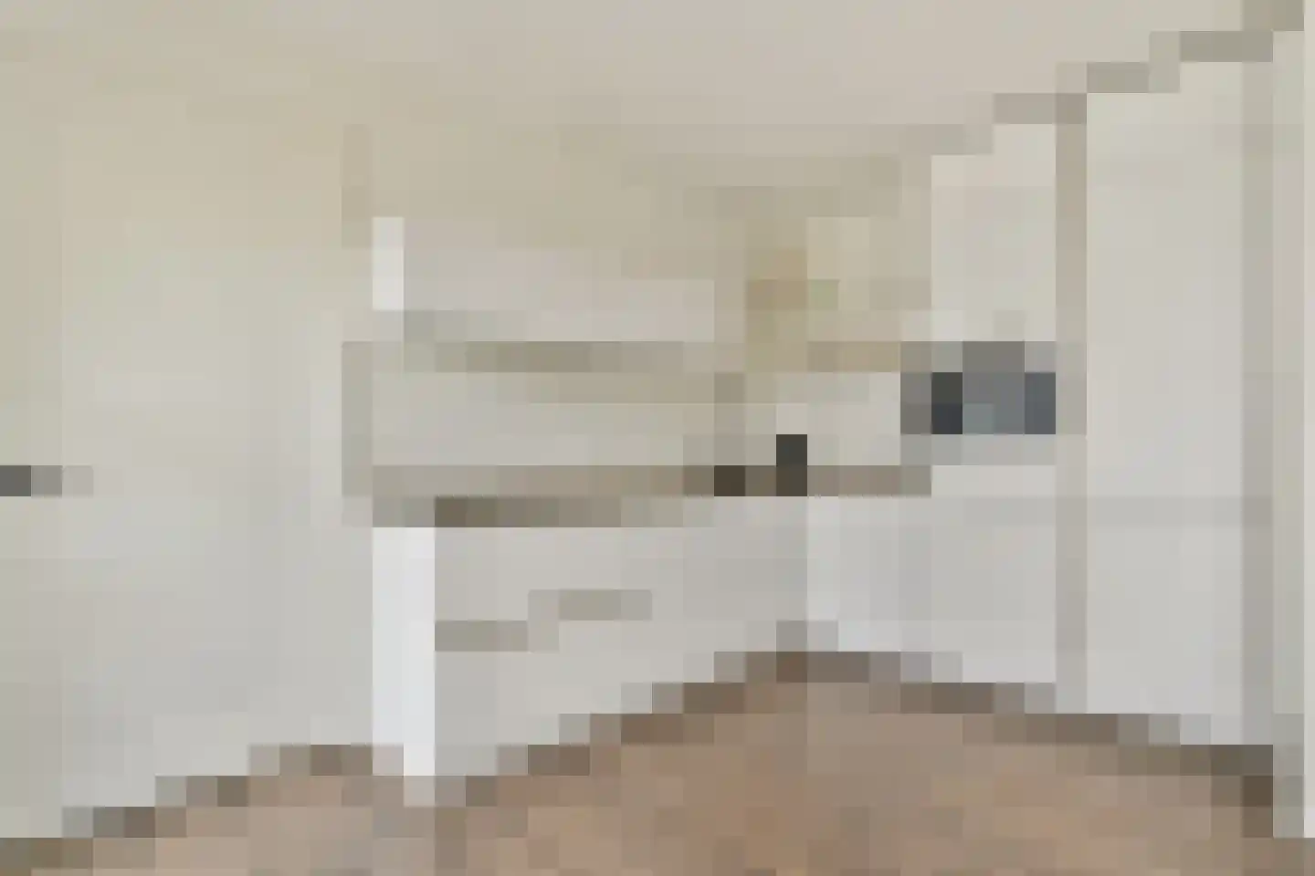 Narva-eiland 76 Amsterdam thumbnail 5