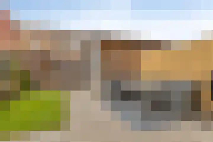 Narvastraat 18 Zaandam thumbnail 13