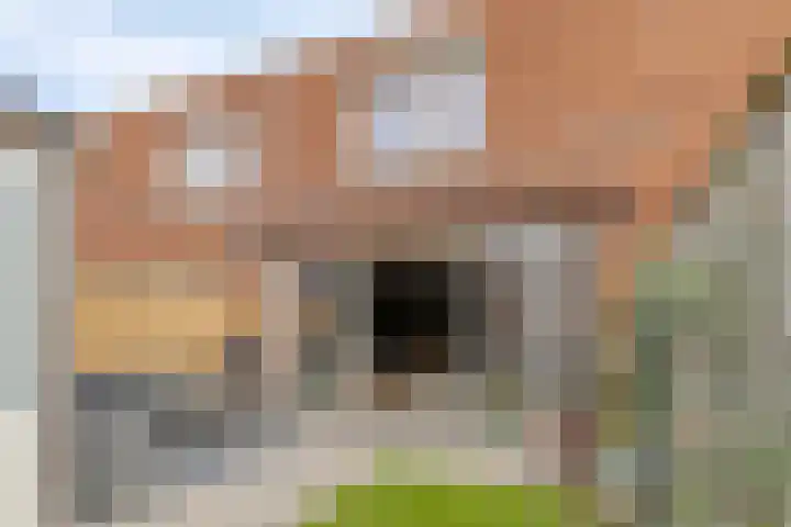 Narvastraat 18 Zaandam thumbnail 14