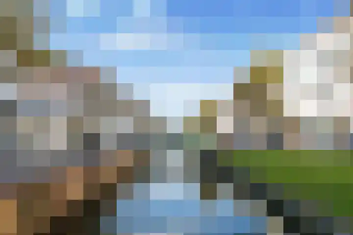 Narvastraat 18 Zaandam thumbnail 29