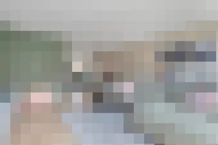 Narvastraat 18 Zaandam thumbnail 4