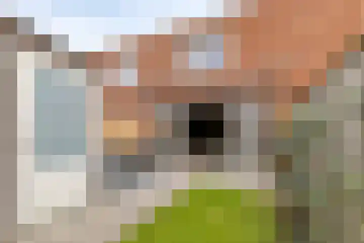 Narvastraat 18 Zaandam thumbnail 41
