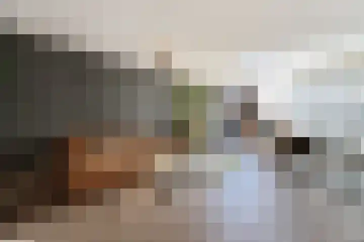Narvastraat 19 Zaandam thumbnail 12
