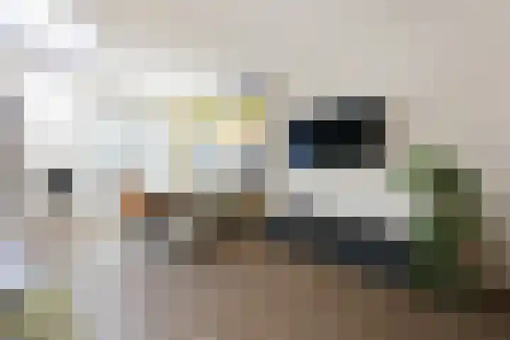 Narvastraat 19 Zaandam thumbnail 13