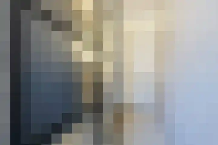 Narvastraat 19 Zaandam thumbnail 29