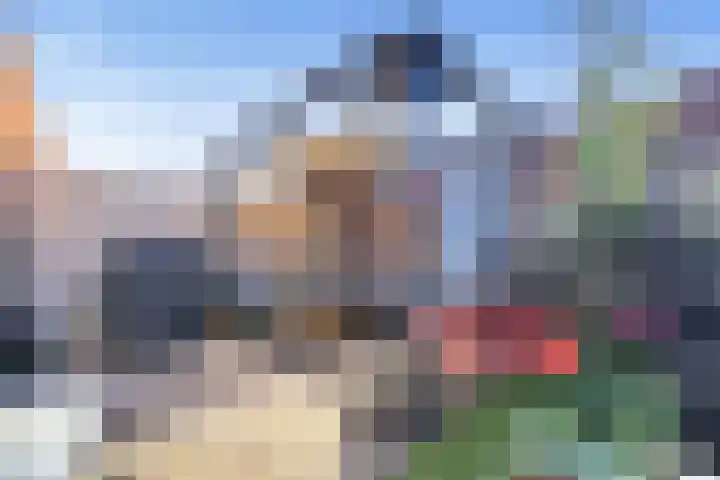 Narvastraat 19 Zaandam thumbnail 31