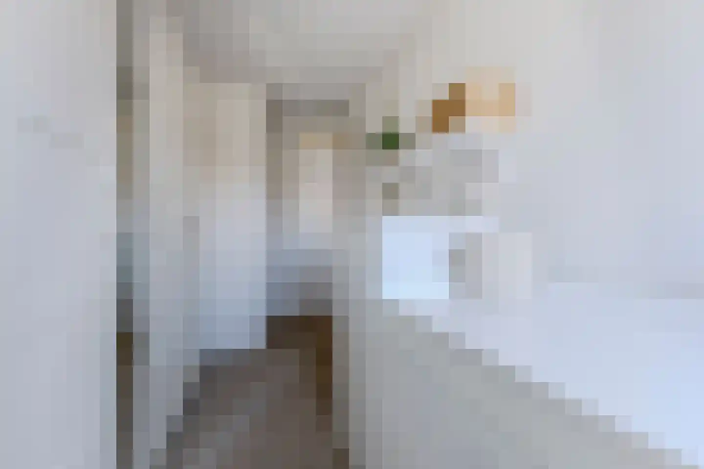 Narvastraat 22 Zaandam thumbnail 20