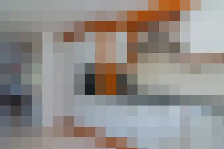 Narwalstraat 11 Amsterdam thumbnail 7