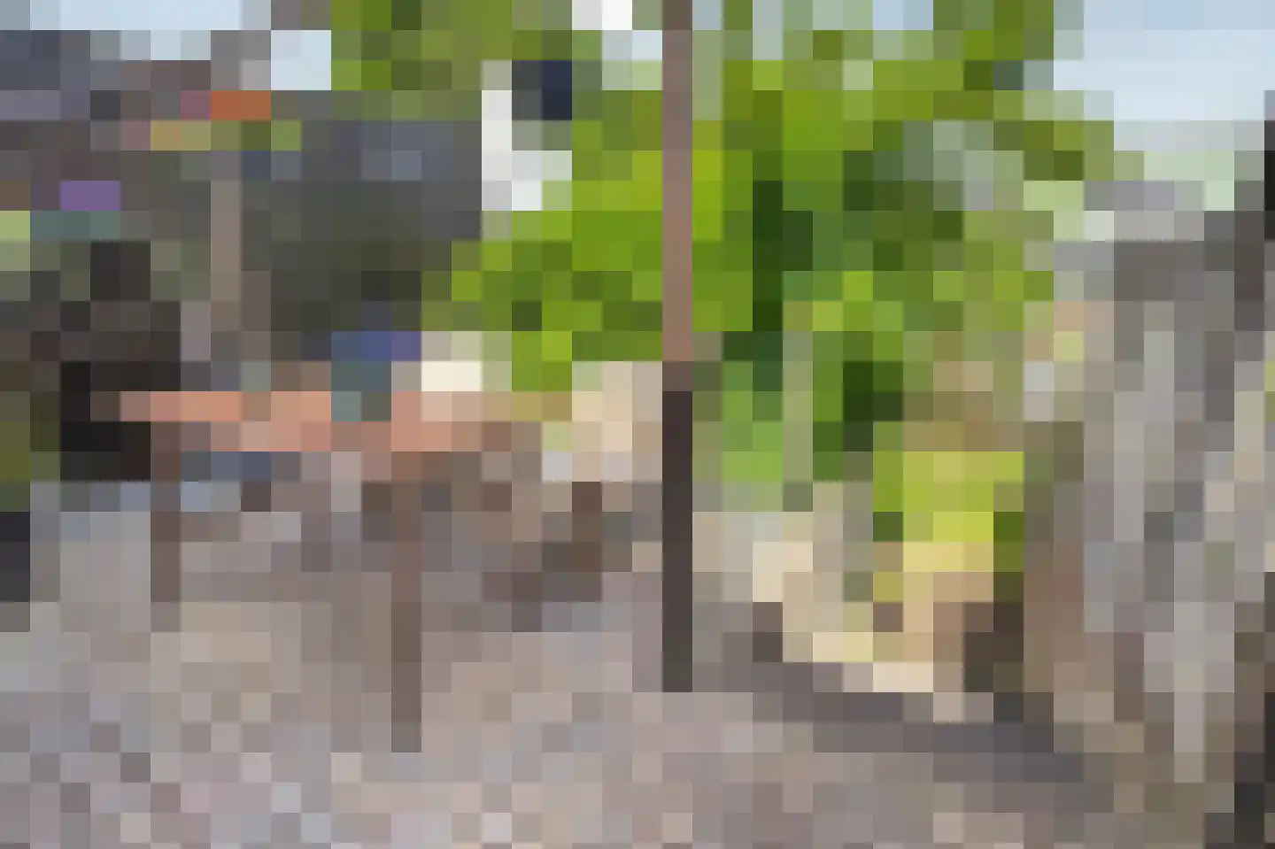 Narwalstraat 7 Amsterdam thumbnail 16