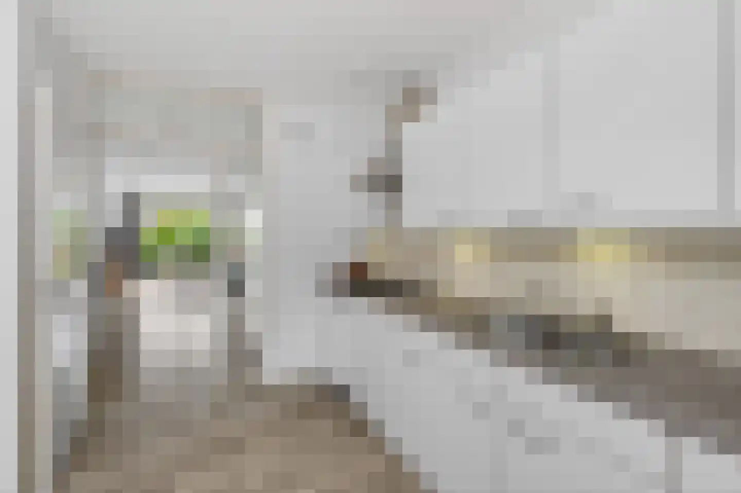 Narwalstraat 7 Amsterdam thumbnail 9