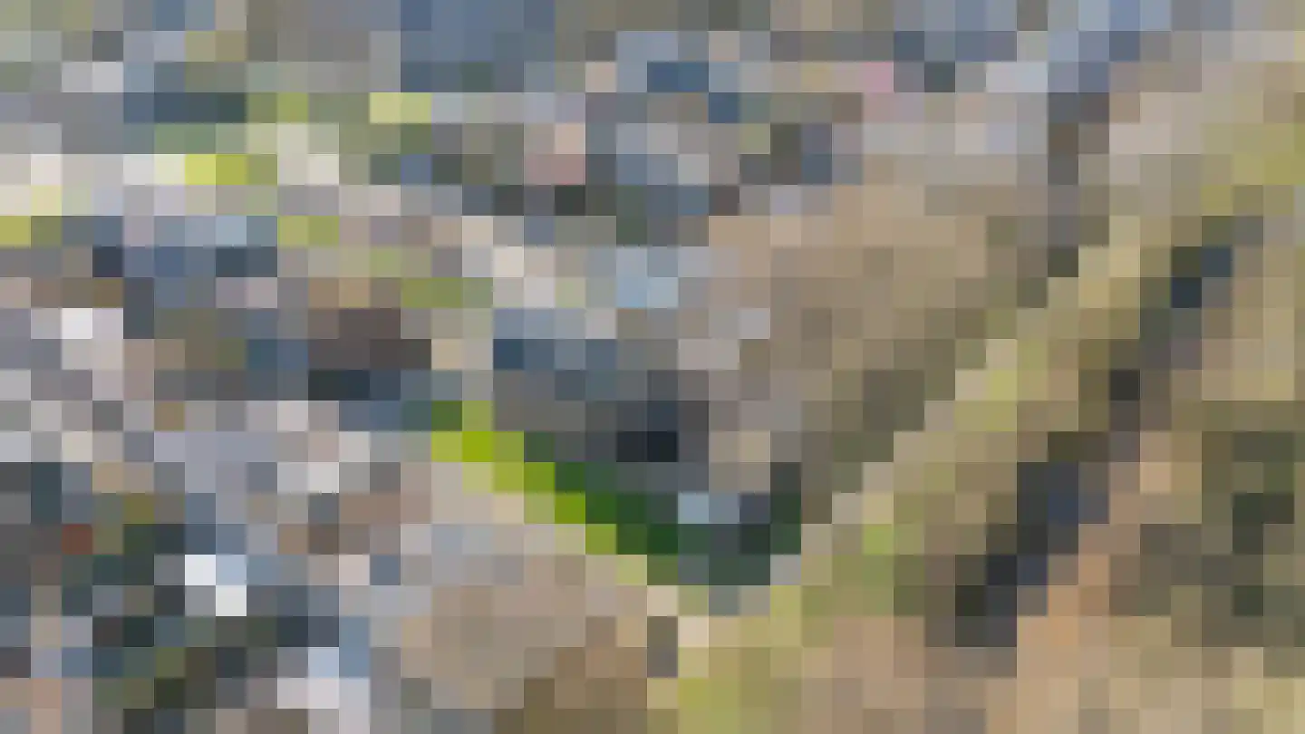 Nasahof 13 IJsselstein thumbnail 5
