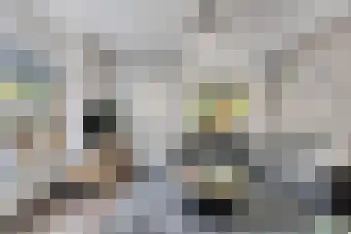 Nasakonstraat 2 Emmeloord thumbnail 10