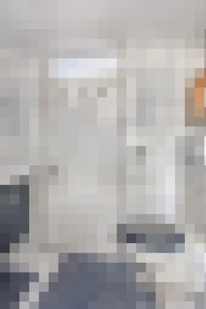 Nasakonstraat 2 Emmeloord thumbnail 25