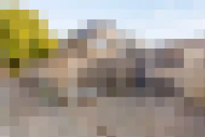 Nasakonstraat 2 Emmeloord thumbnail 33