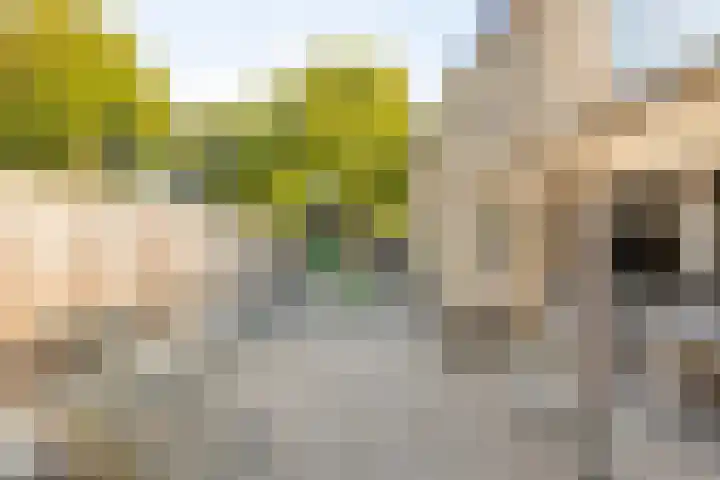 Nasakonstraat 2 Emmeloord thumbnail 35