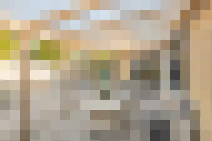 Nasakonstraat 2 Emmeloord thumbnail 36