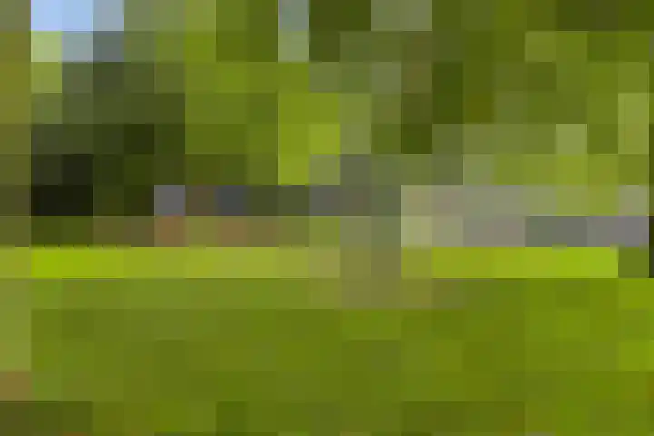 Nasakonstraat 2 Emmeloord thumbnail 5