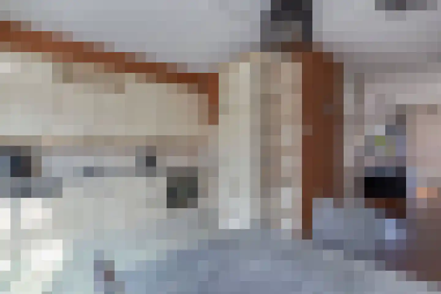 Nasakonstraat 24 Emmeloord thumbnail 16