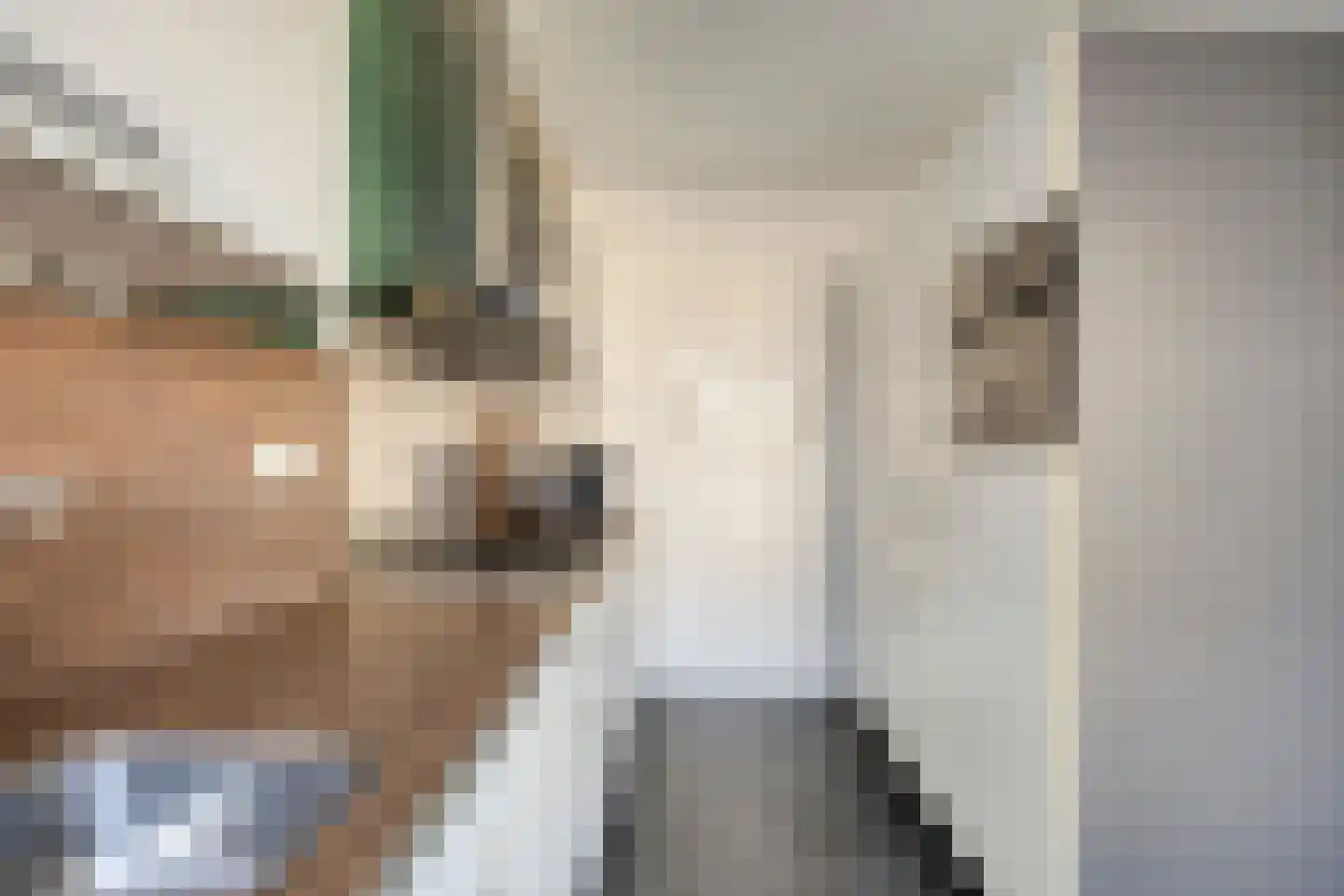 Nasakonstraat 5 Emmeloord thumbnail 15