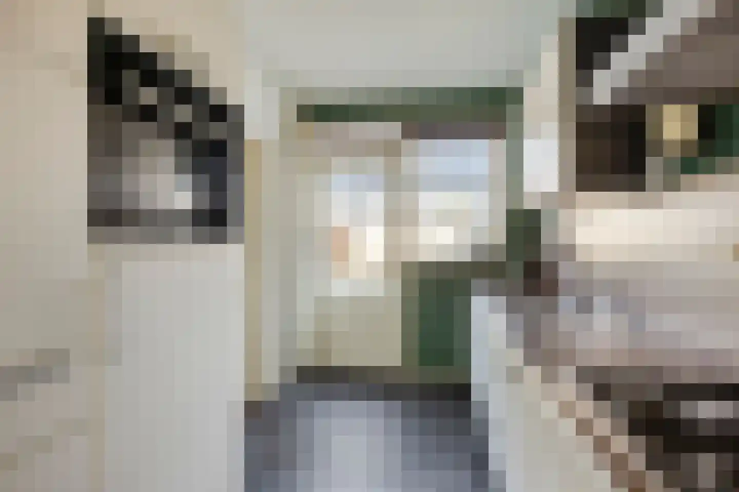 Nasakonstraat 5 Emmeloord thumbnail 16