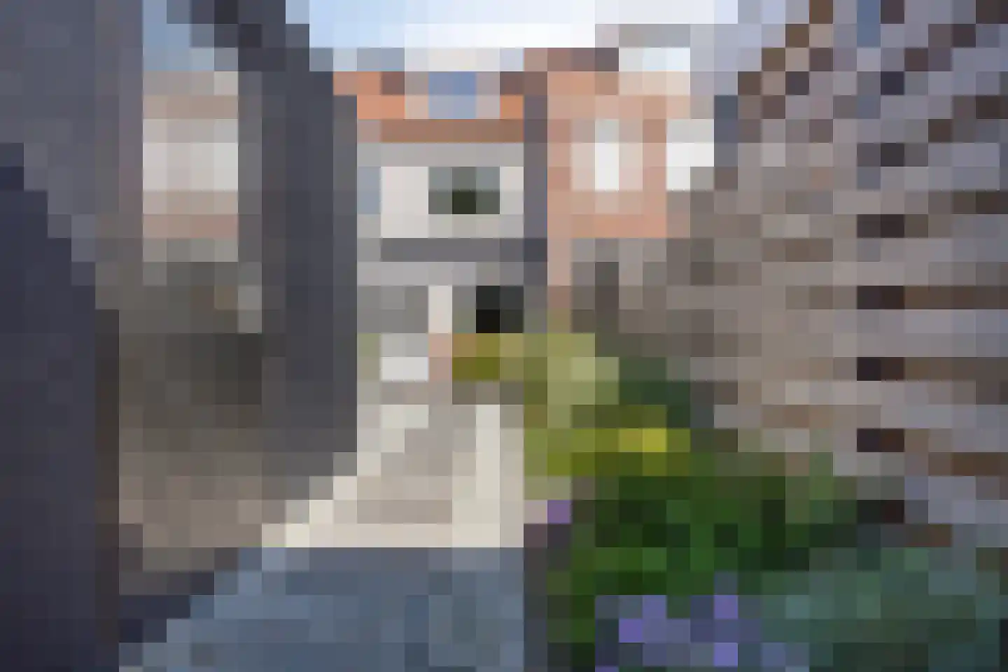 Nassau Bolwerk 17 Steenbergen thumbnail 47