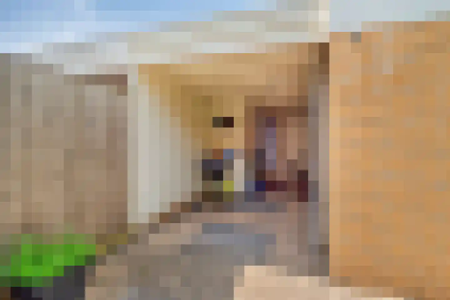 Nassau Bolwerk 9 Steenbergen thumbnail 43