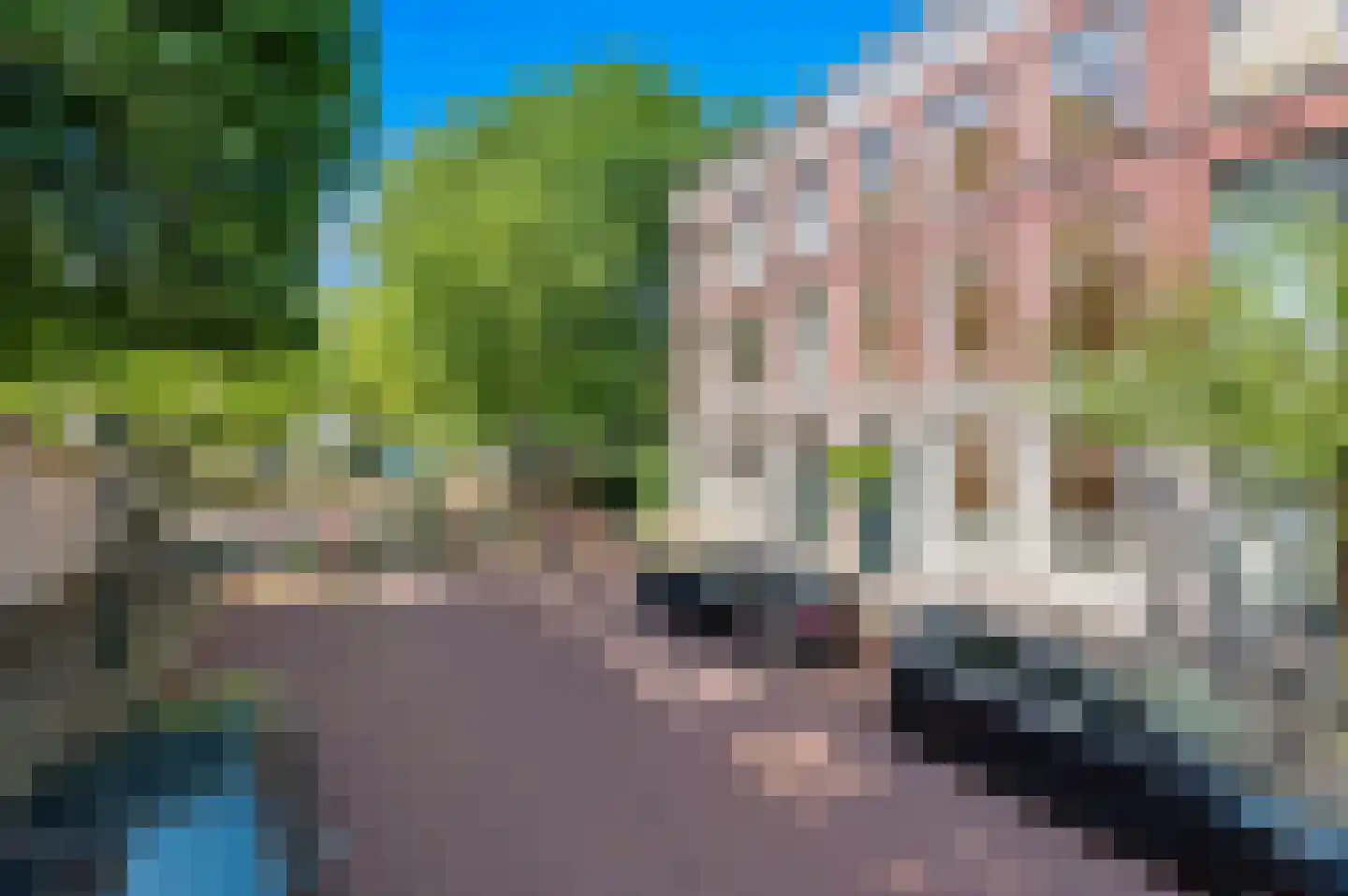 Nassau Dillenburgstraat 4 Den Haag thumbnail 8