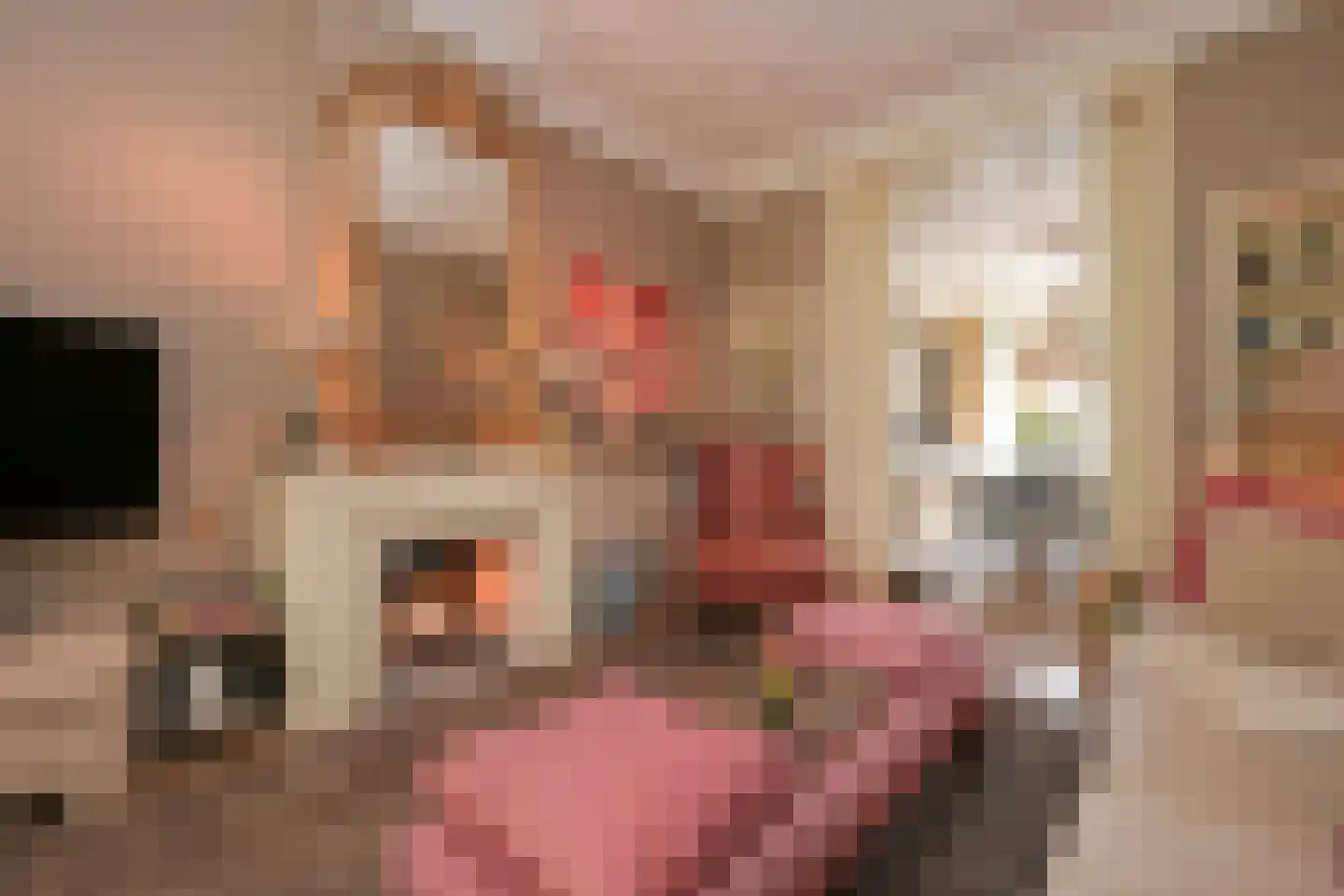 Nassau Odijckstraat 6 Den Haag thumbnail 4