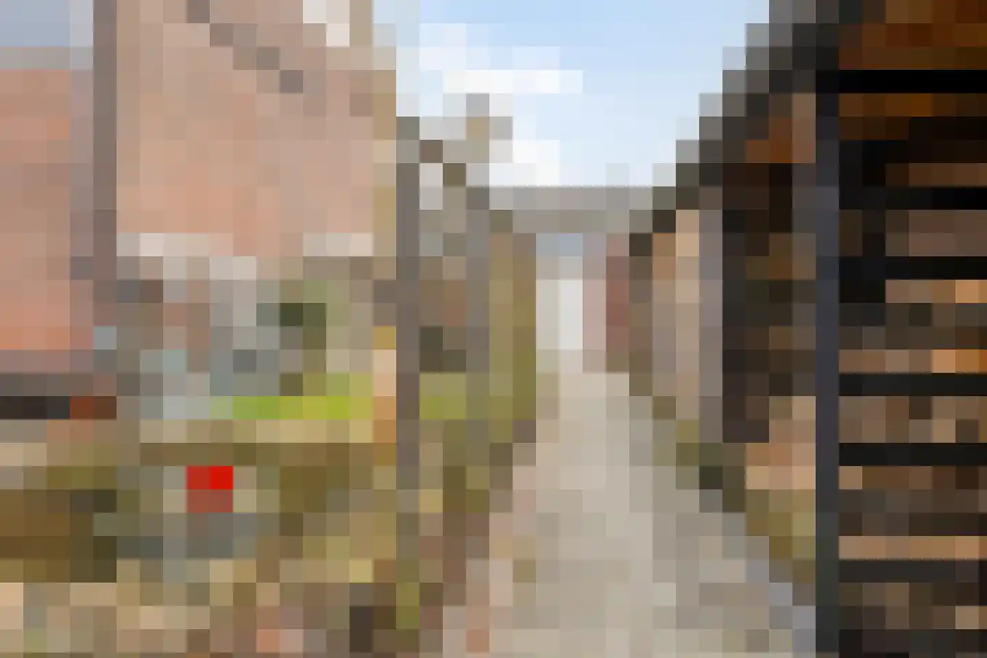 Nassau Odijkstraat 5 Heinkenszand thumbnail 51