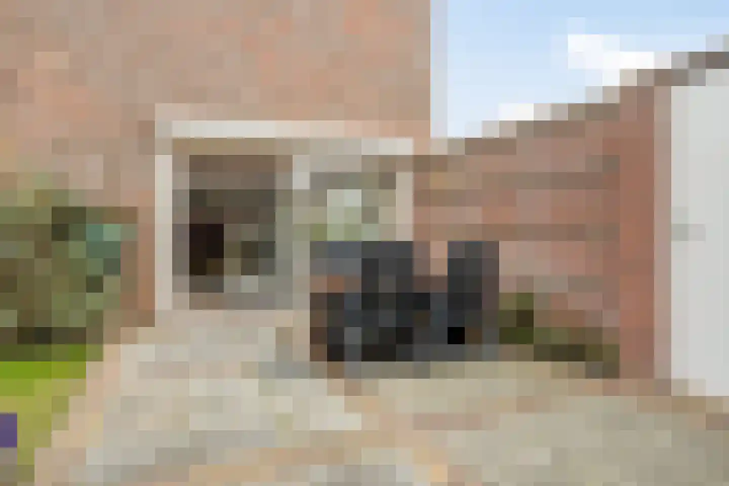 Nassau Odijkstraat 5 Heinkenszand thumbnail 55