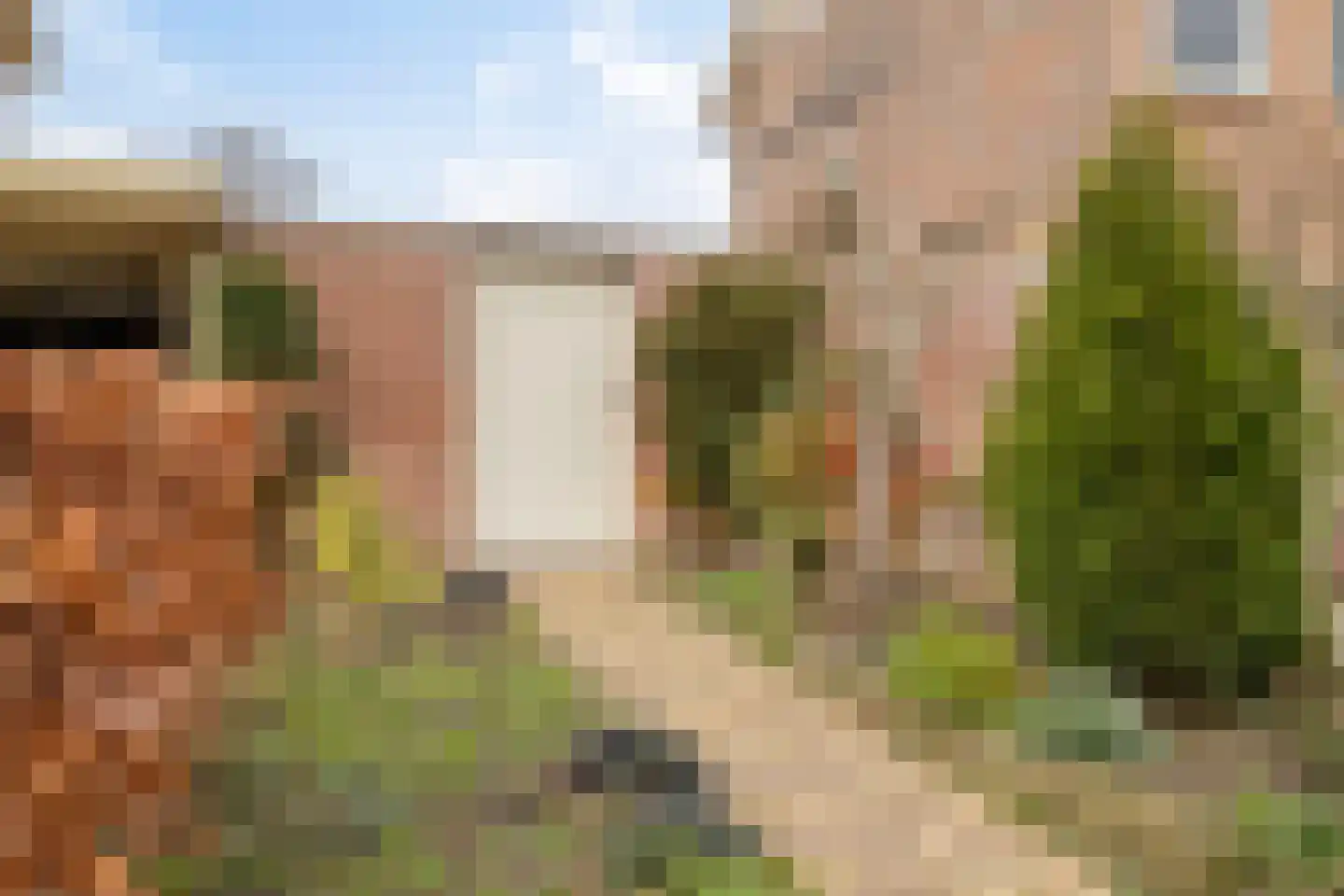 Nassau Odijkstraat 5 Heinkenszand thumbnail 68