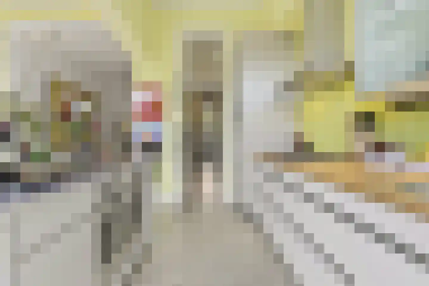 Nassau Ouwerkerkstraat 2 Den Haag thumbnail 16